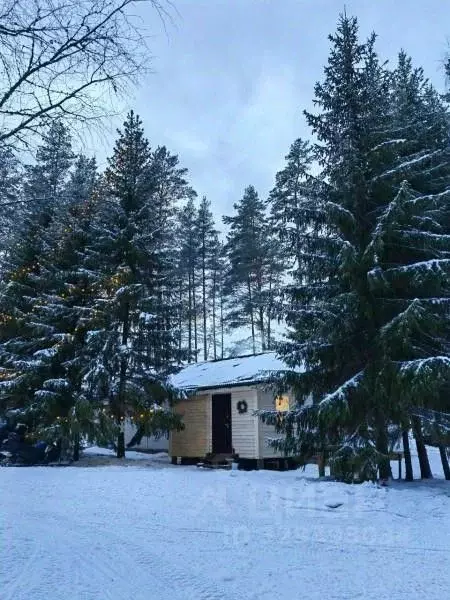 Дом в Псковская область, Псков Земельный пер., 1А (100 м) - Фото 1