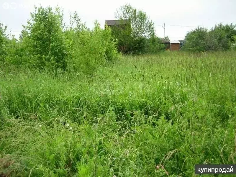 Участок в Боровск, микрорайон Затекижье (11.32 м) - Фото 2