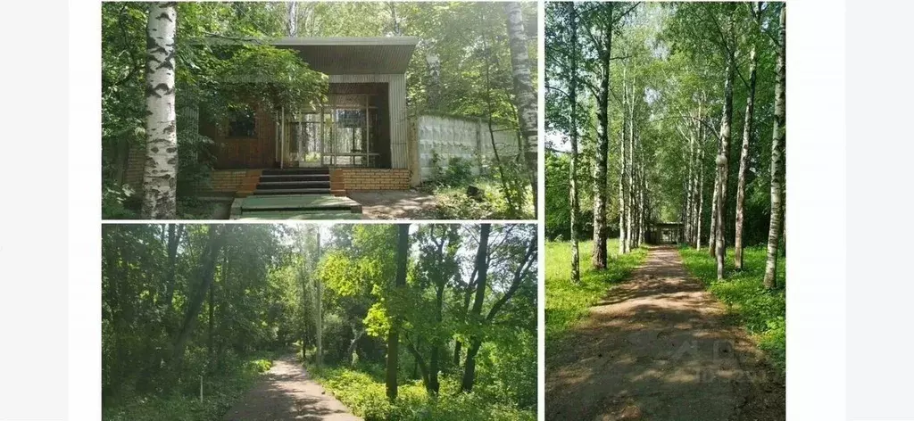 Участок в Московская область, Голицыно Одинцовский городской округ, ... - Фото 1