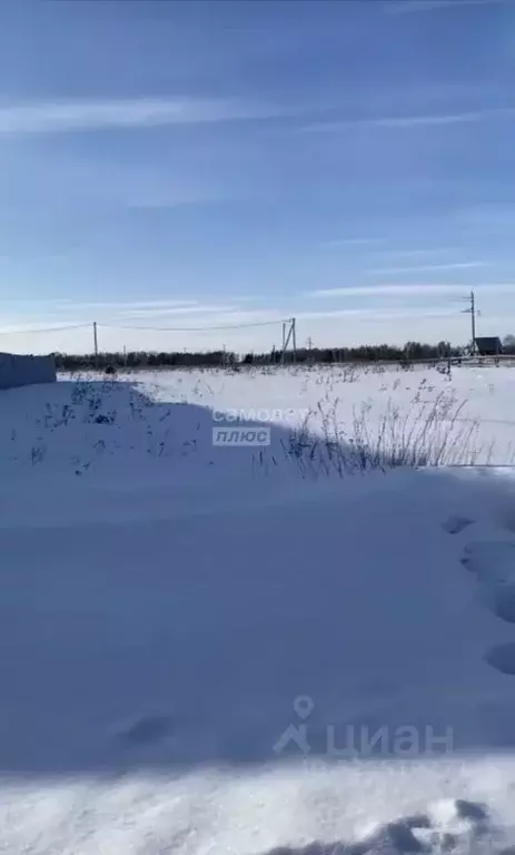 Участок в Тюменская область, Тюменский муниципальный округ, д. ... - Фото 1