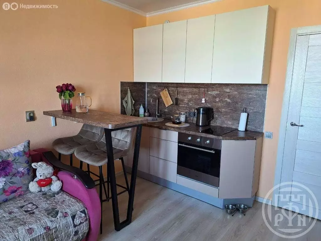 Квартира-студия: Санкт-Петербург, Парашютная улица, 42к1 (25.4 м) - Фото 2