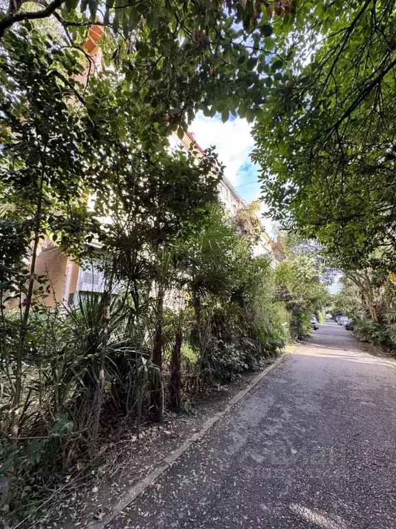 1-к кв. Краснодарский край, Сочи Заречный мкр, ул. Абрикосовая (30.0 ... - Фото 1