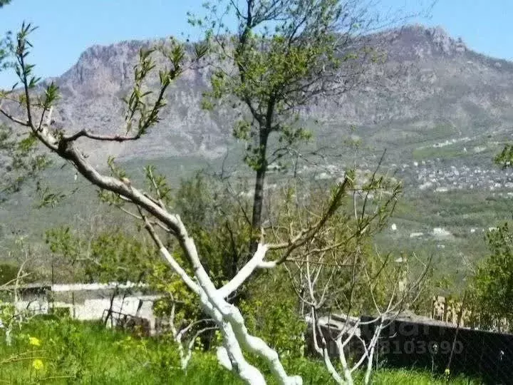 Участок в Крым, Алушта муниципальный округ, с. Верхняя Кутузовка ул. ... - Фото 0