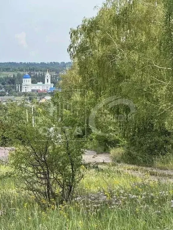 Участок в Воронежская область, Семилукский район, с. Девица Фабричная ... - Фото 1