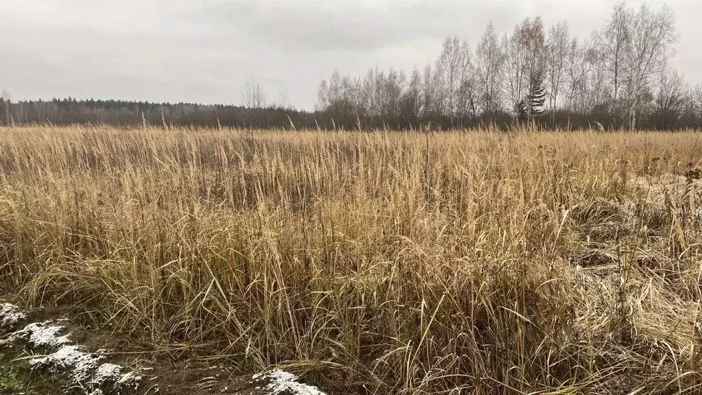 Участок в Московская область, Воскресенск городской округ, д. Бочевино ... - Фото 0