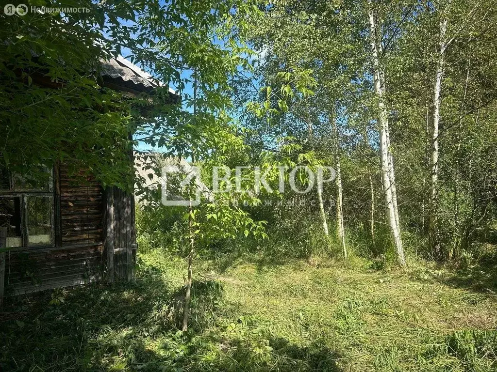 Участок в Космынино, Кооперативная улица, 27 (10.7 м) - Фото 1