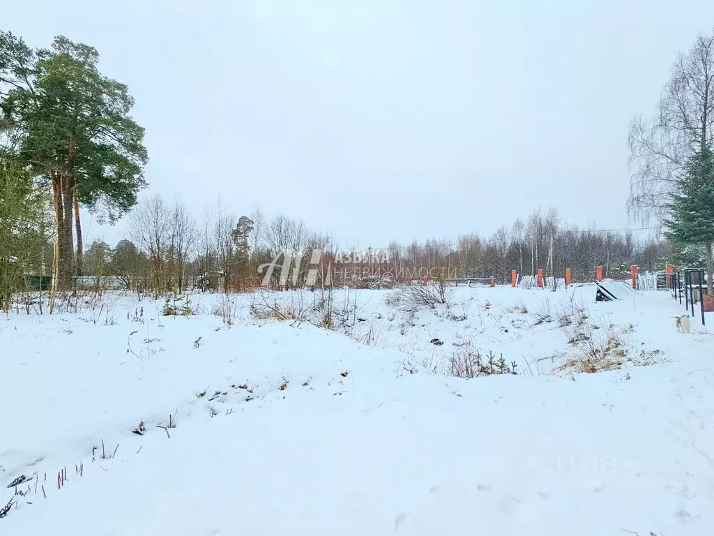 Участок в Московская область, Одинцовский городской округ, пос. Новый ... - Фото 1