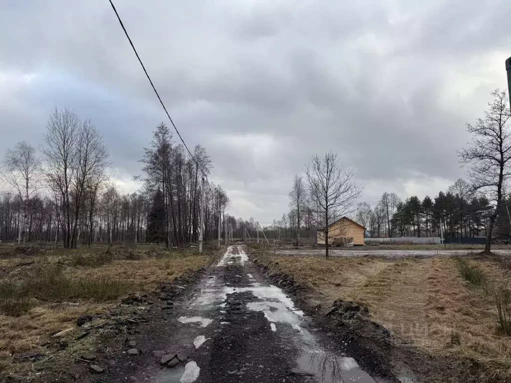 Участок в Московская область, Богородский городской округ, Южный зона  ... - Фото 0