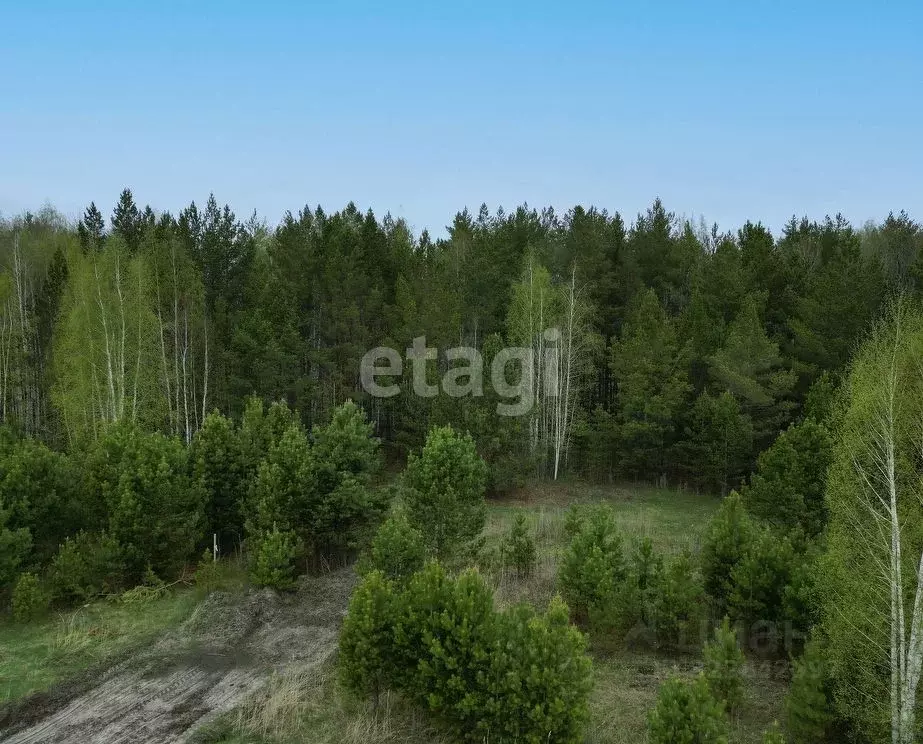 Участок в Свердловская область, Тугулымский муниципальный округ, ... - Фото 1