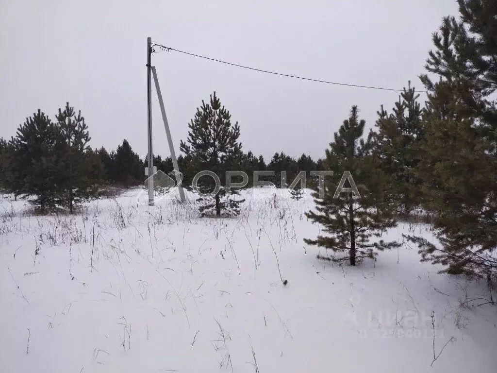 Участок в Свердловская область, Слободо-Туринский район, ... - Фото 1