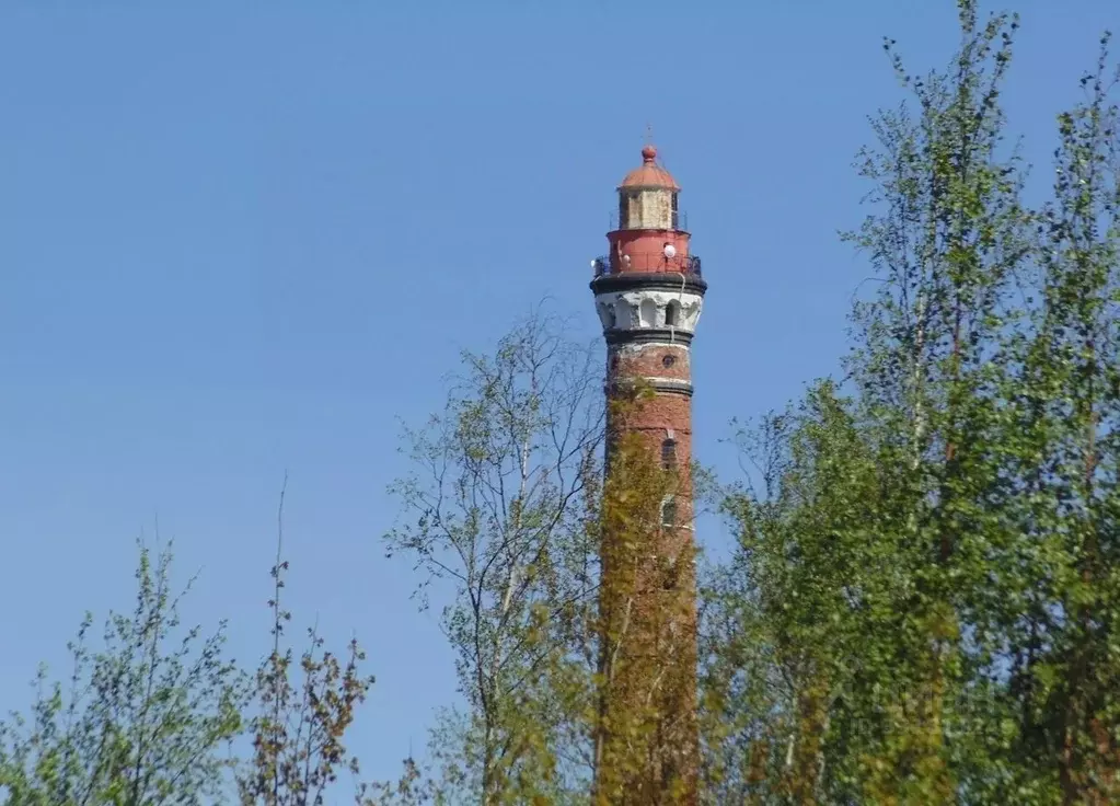 Участок в Ленинградская область, Всеволожский район, Рахьинское ... - Фото 2