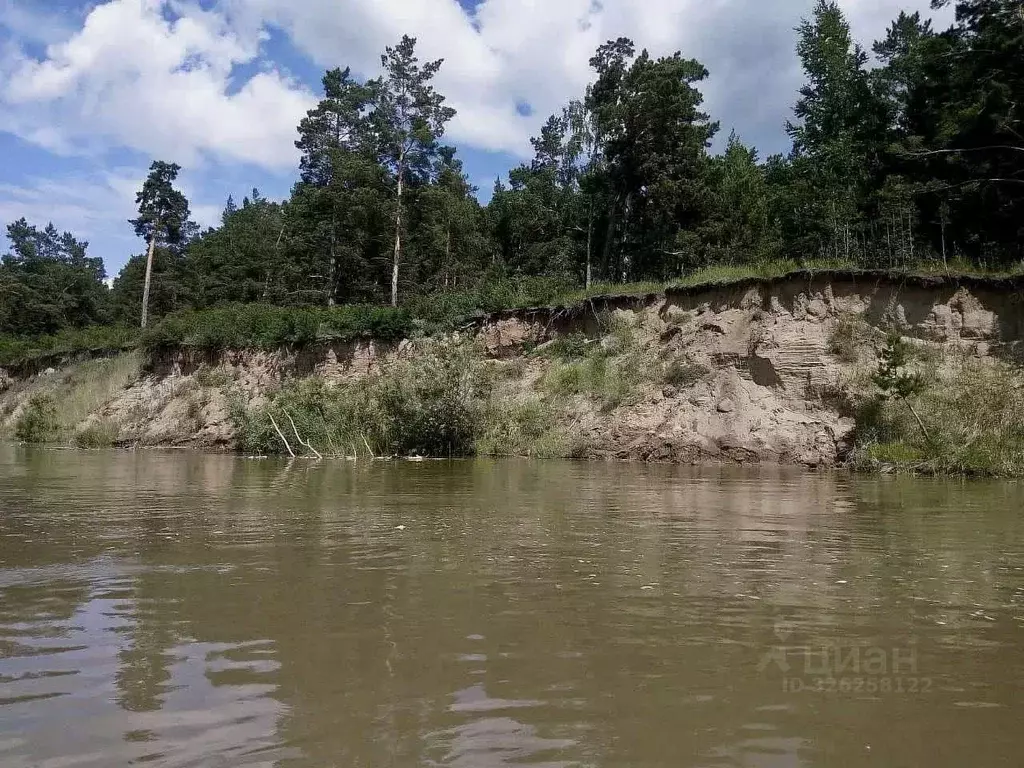 Участок в Алтайский край, Крутихинский район, с. Крутиха  (15.0 сот.) - Фото 1