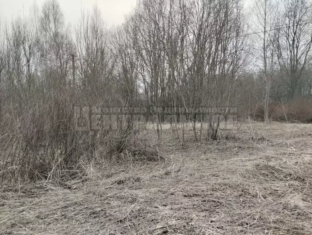 Участок в Смоленская область, Смоленск ш. Рославльское, 7 (11.5 сот.) - Фото 2