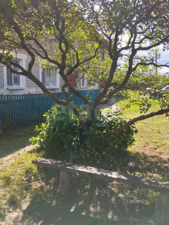 3-к кв. Брянская область, Брасовский район, Локоть рп ул. Вали Котика, ... - Фото 1