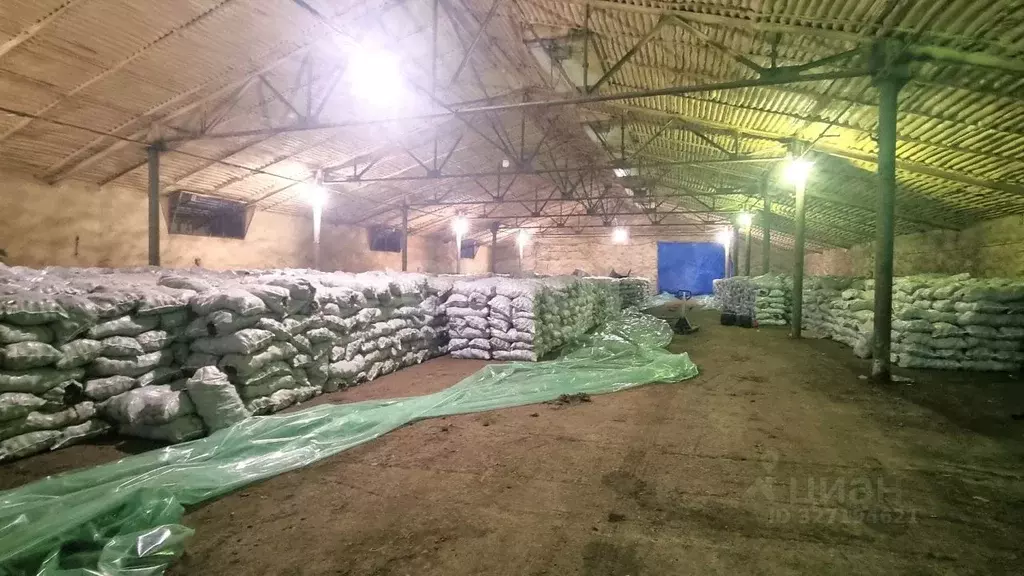 Склад в Волгоградская область, Городищенский район, Новорогачинское ... - Фото 1