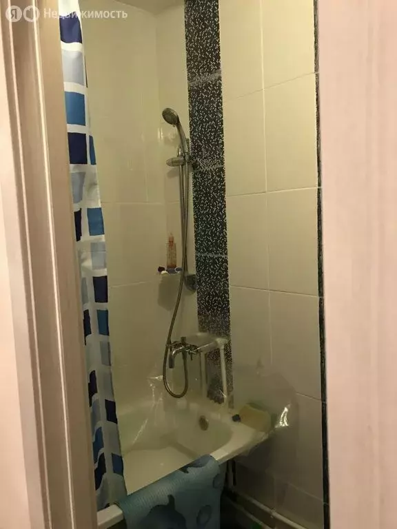 Квартира-студия: Пушкин, улица Архитектора Данини, 5 (26.4 м) - Фото 1