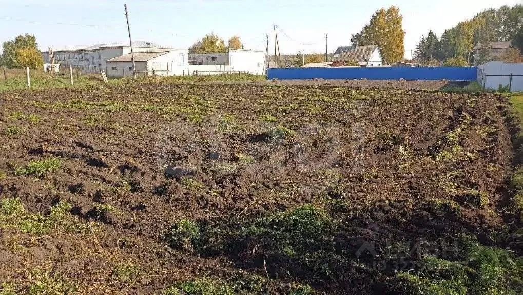 Участок в Тюменская область, Тюменский муниципальный округ, д. Зырянка ... - Фото 1