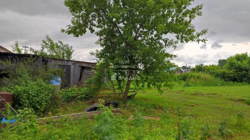 Дом в Приморский край, с. Чугуевка ул. Лазо, 17 (644 м) - Фото 1