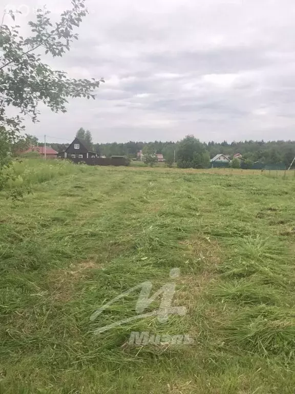 Участок в Московская область, городской округ Клин, садовое ... - Фото 1