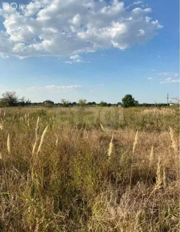 Участок в хутор Семигорский, улица имени Михаила Романенко (4.1 м) - Фото 1