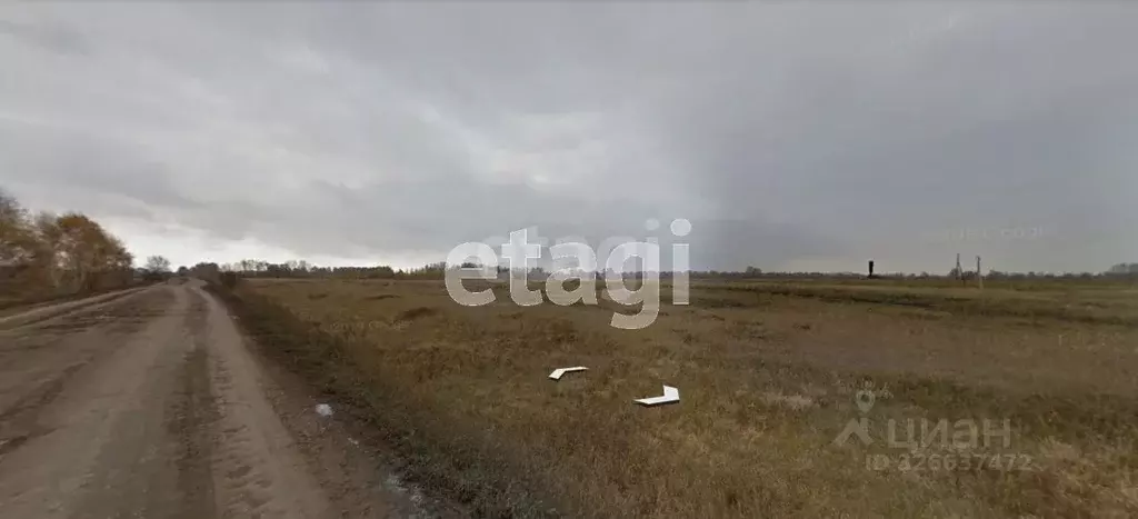 Участок в Новосибирская область, Новосибирский район, Кубовинский ... - Фото 1