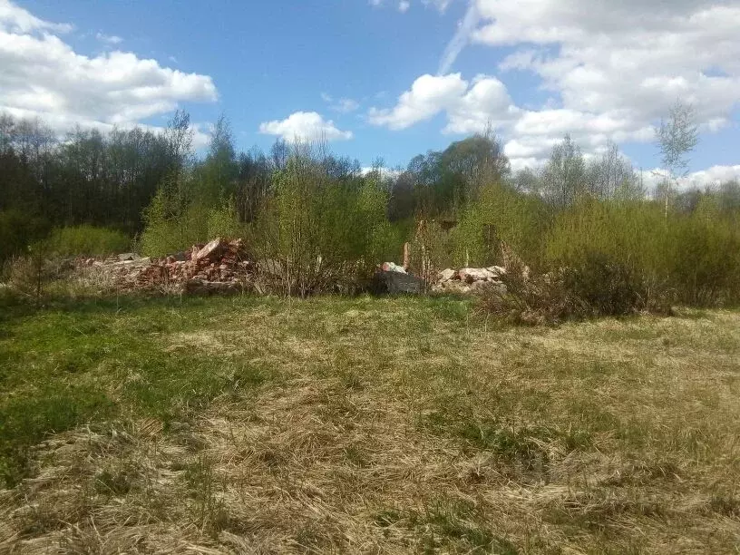 Участок в Новгородская область, Великий Новгород Лужское ш. (2800.0 ... - Фото 1