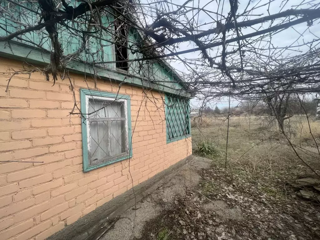 Участок в Ростовская область, Белокалитвинский район, Нижнепоповское ... - Фото 1