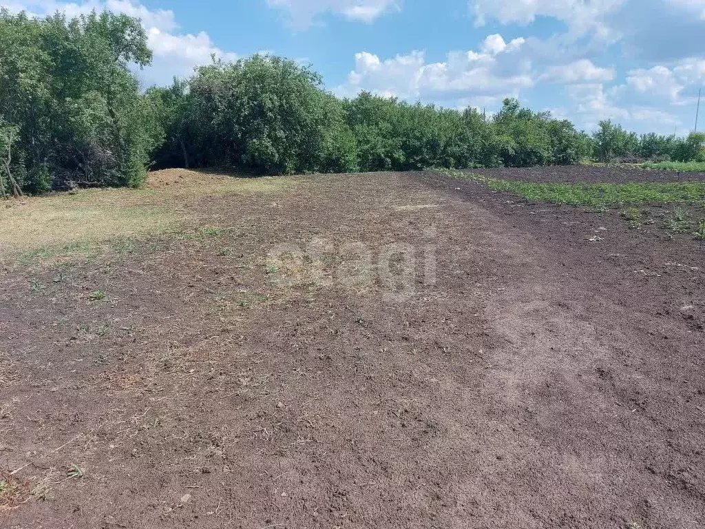Участок в Белгородская область, Корочанский муниципальный округ, ... - Фото 1