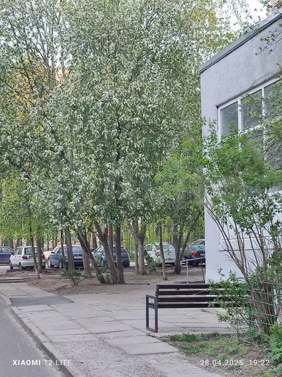 2-к. квартира, 52 м, 6/9 эт. - Фото 0