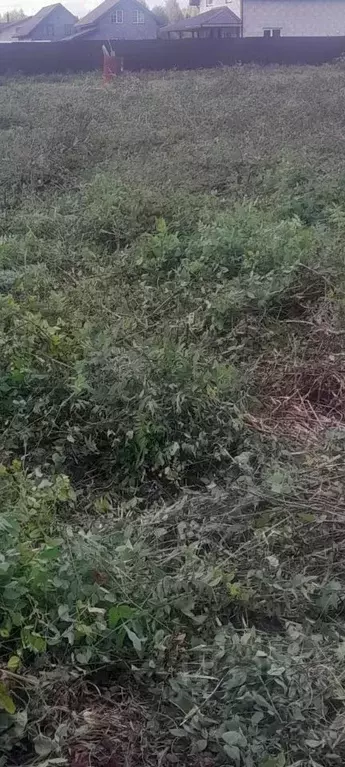 Участок в Кировская область, Киров городской округ, д. Бони пер. ... - Фото 2