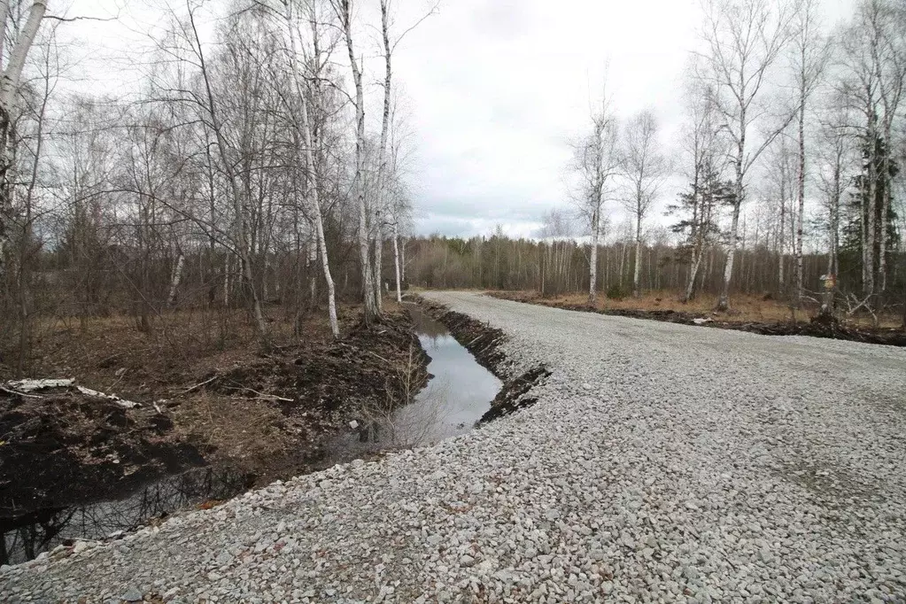 Участок в Свердловская область, Верхняя Пышма городской округ, пос. ... - Фото 0