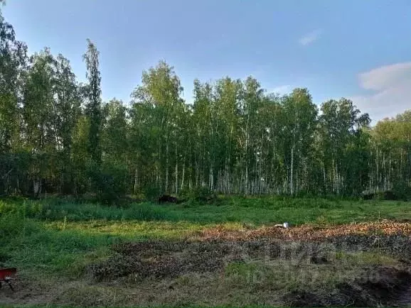 Участок в Челябинская область, Сосновский район, Кременкульское с/пос, ... - Фото 1