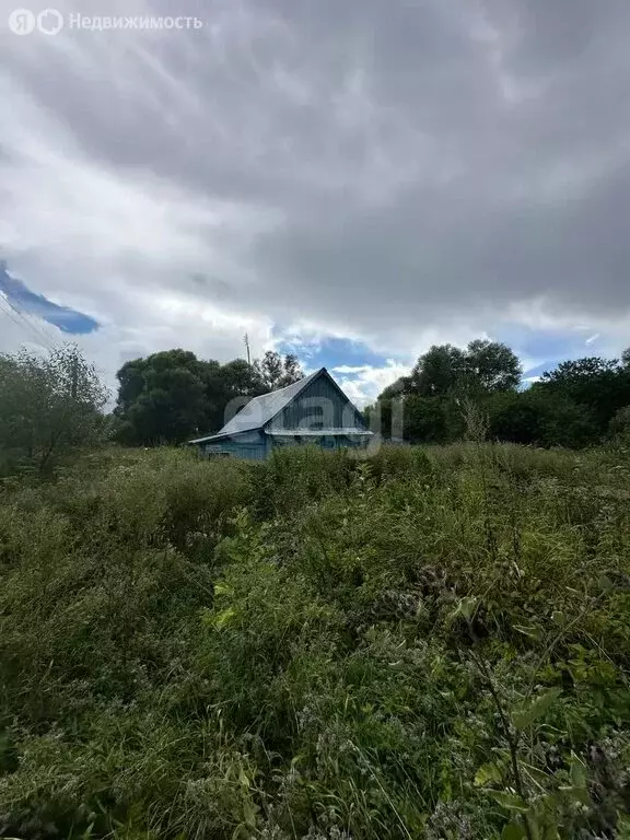 Участок в Щелканово, село Щелканово (12.7 м) - Фото 2