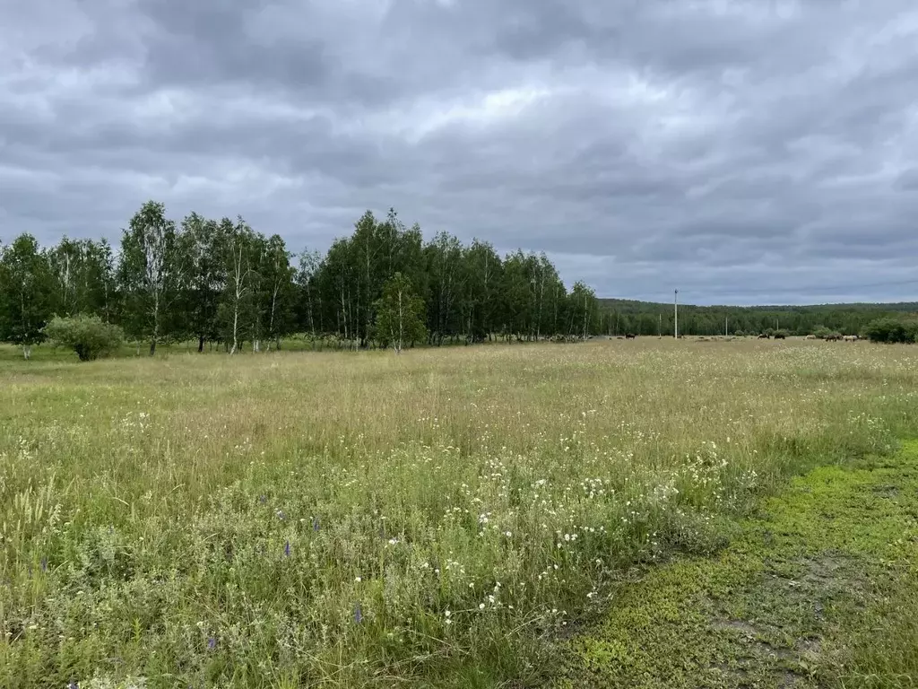 Участок в Челябинская область, Аргаяшский муниципальный округ, пос. ... - Фото 1