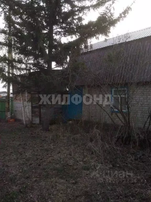 Дом в Новосибирская область, Новосибирск  (30 м) - Фото 1