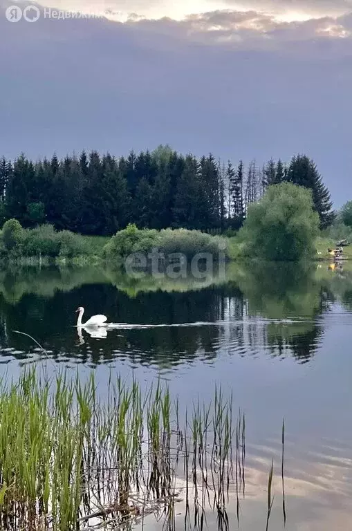 Дом в Брянская область, Жирятинское сельское поселение, село ... - Фото 1