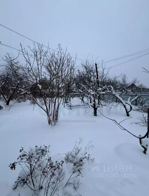 Участок в Калужская область, Калуга городской округ, с. Спас 12 (24.48 ... - Фото 2