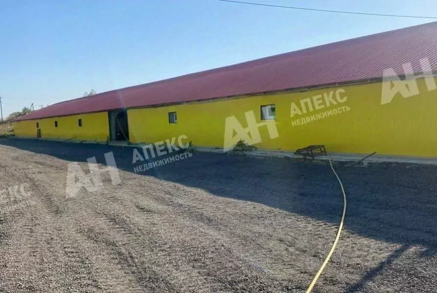 Склад в Московская область, Кашира городской округ, д. Барабаново ул. ... - Фото 2