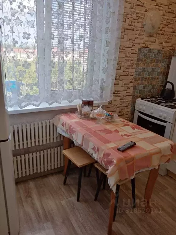 1-к кв. Белгородская область, Белгородский район, Дубовское с/пос, ... - Фото 1