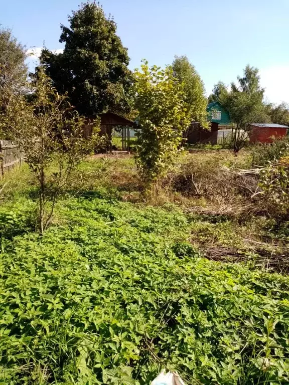 Участок в Владимирская область, Александровский муниципальный округ, ... - Фото 2
