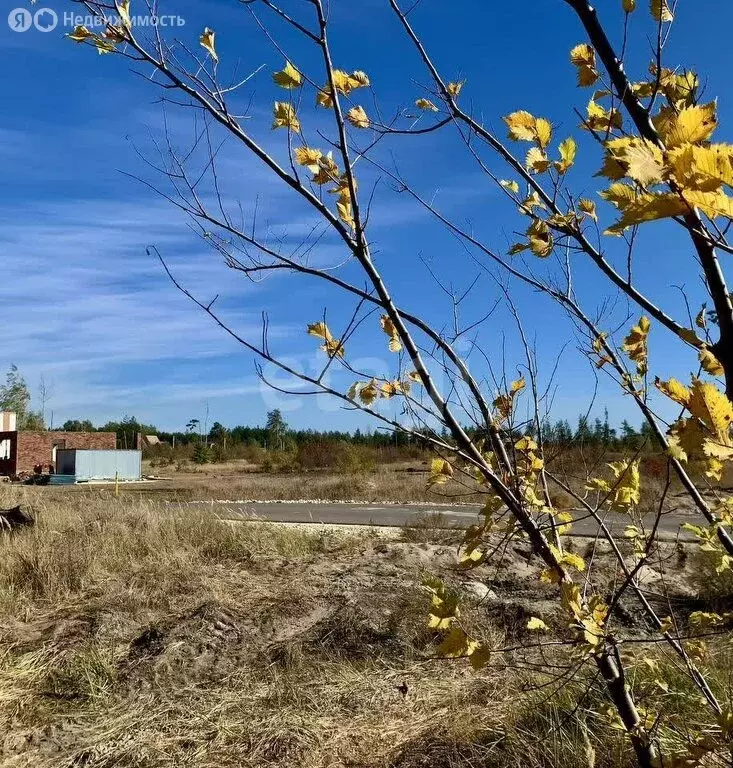 Участок в деревня Медовка, улица Полковника Махотина (10 м) - Фото 0