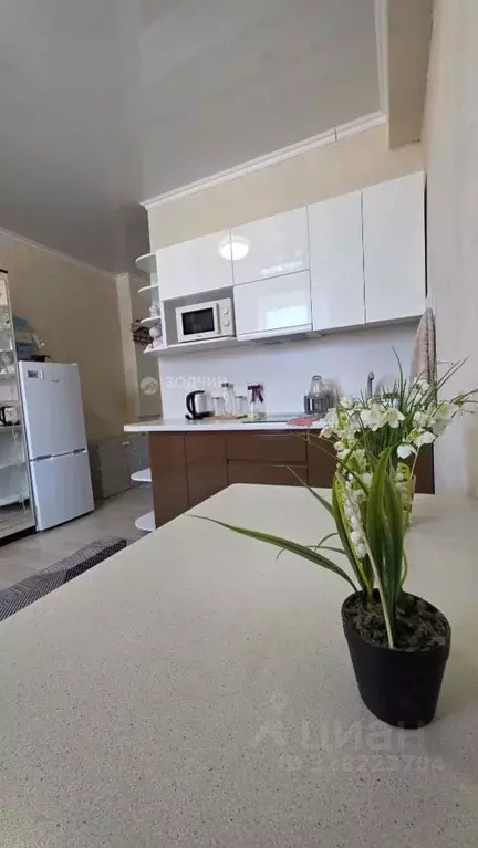 Студия Чувашия, Чебоксары ул. Аркадия Гайдара, 6 (20.2 м) - Фото 1