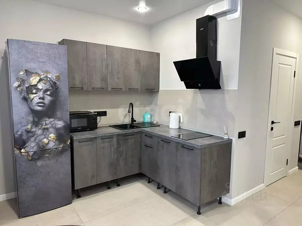 Студия Московская область, Старая Купавна Богородский городской округ, ... - Фото 1