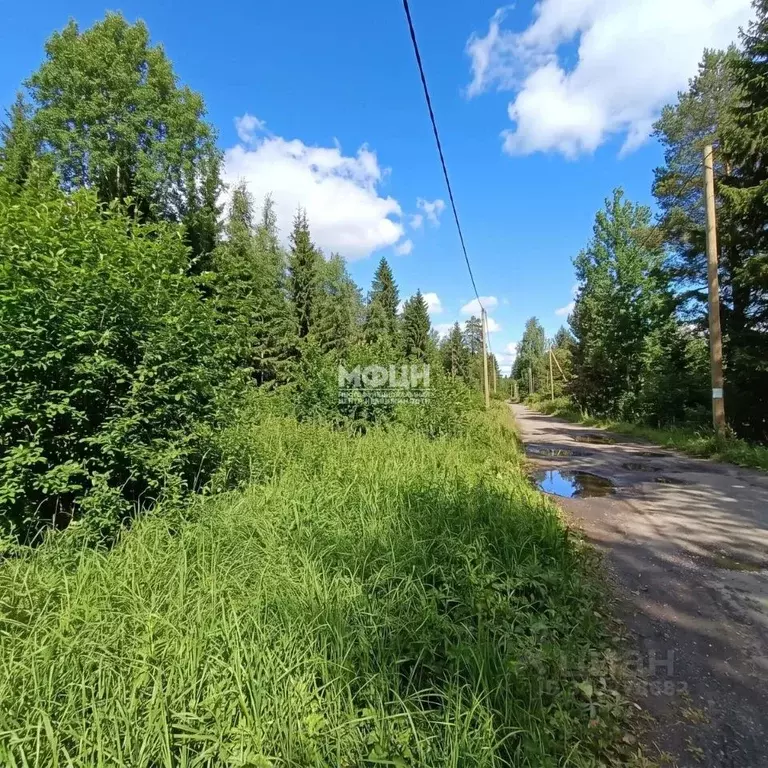 Участок в Карелия, Прионежский район, Деревянское с/пос, Малахит СНТ  ... - Фото 2