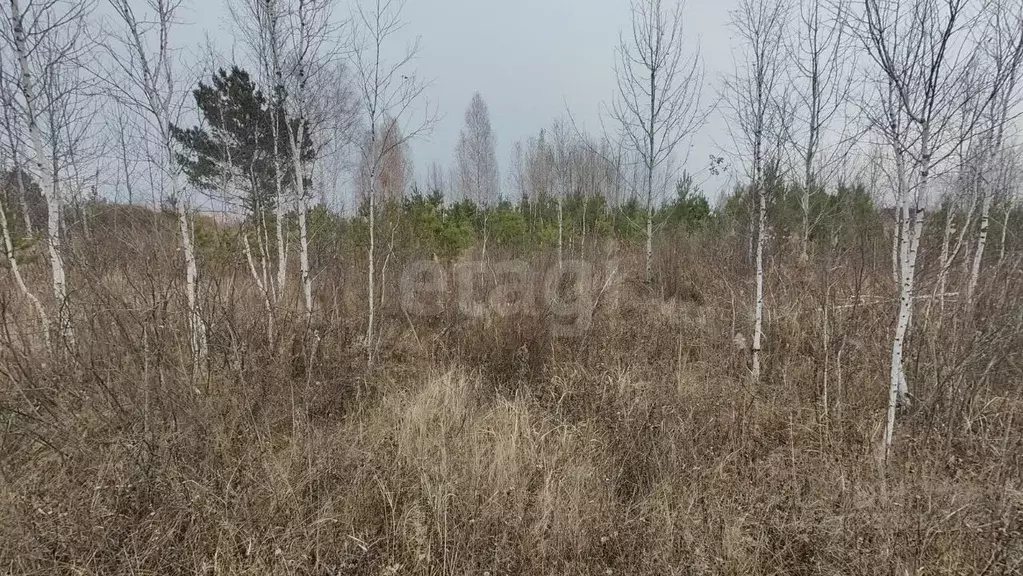 Участок в Тюменская область, Ялуторовский муниципальный округ, СО ... - Фото 1