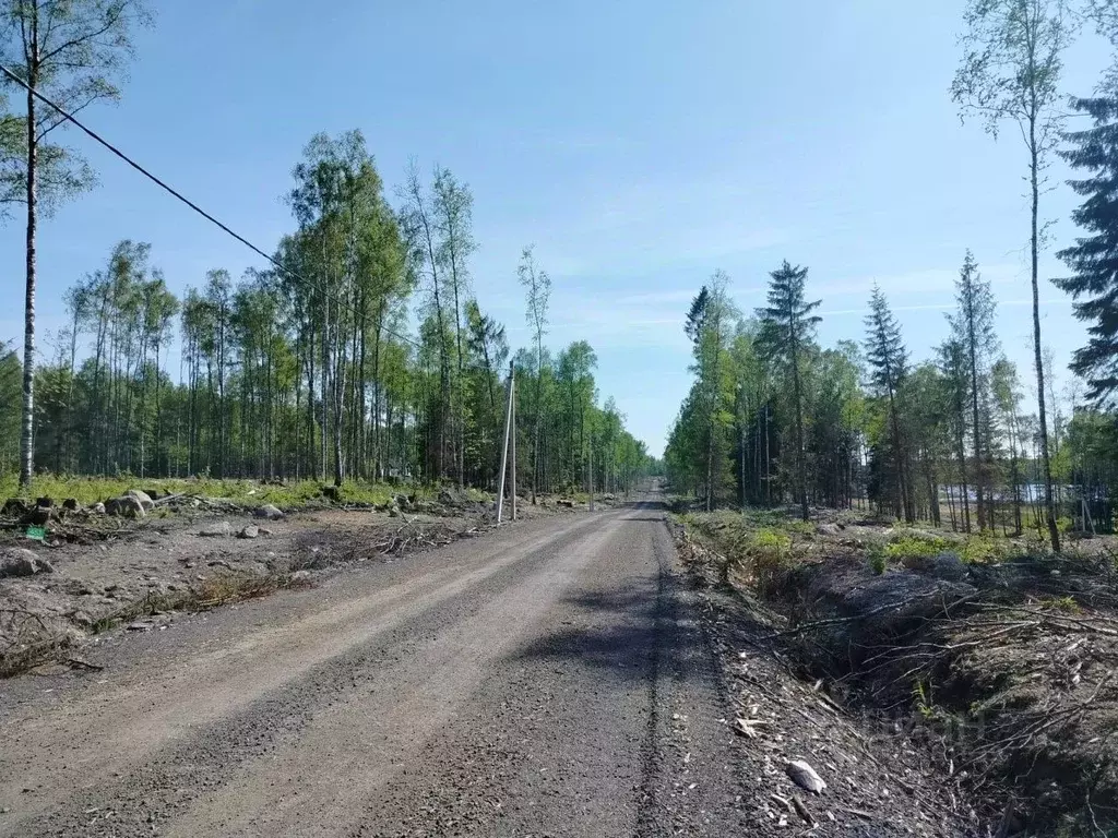 Участок в Ленинградская область, Тосненский район, Любанское городское ... - Фото 0