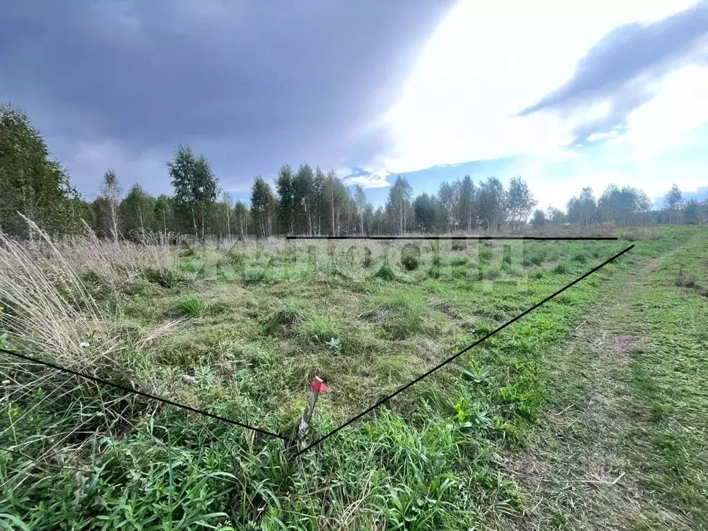 Участок в Новосибирская область, Новосибирский район, Каменский ... - Фото 2