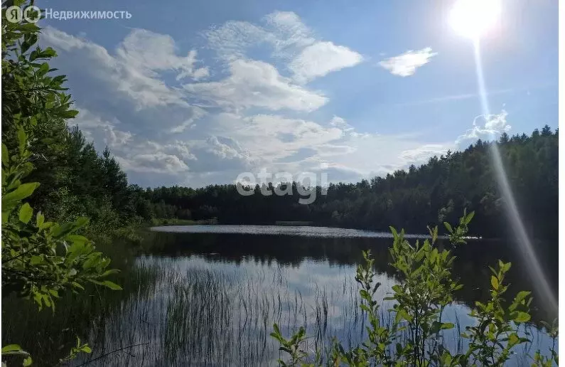 Участок в Нижнеломовский район, СТ Заря (200.6 м) - Фото 0