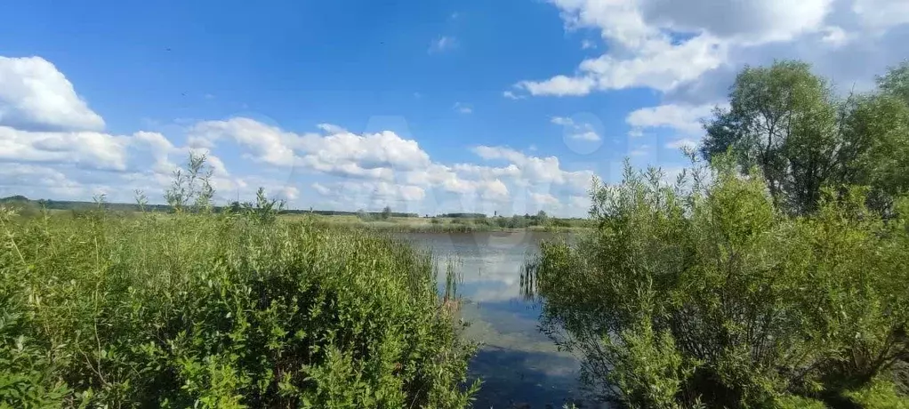 Участок 10 га (СНТ, ДНП) - Фото 0