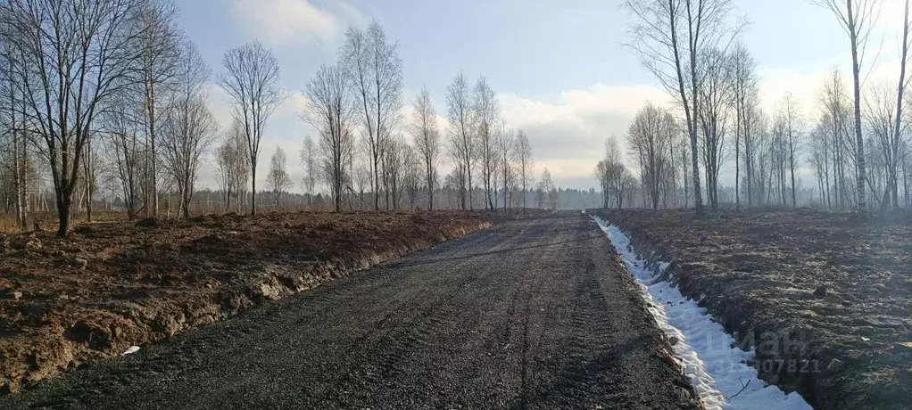 Участок в Московская область, Клин городской округ, Малахитовые дачи ... - Фото 1